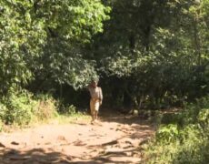 Descubre el turismo en el lago Tana, la joya de Etiopía