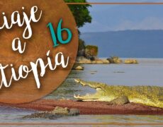 Descubre la belleza del Lago Chamo: un destino imperdible para tu próximo viaje de turismo