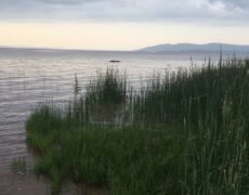Descubre el turismo en Lago Langano: un destino imperdible para tu próximo viaje