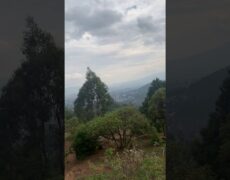Descubre la belleza natural de las Montañas de Entoto: el destino perfecto para un viaje de turismo