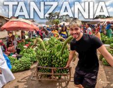 Descubre la auténtica cultura de Jinka: Un viaje por el mercado y las tribus locales