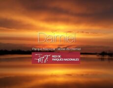 Descubre la belleza natural del Parque Nacional Yangudi Rassa en tu próximo viaje de turismo