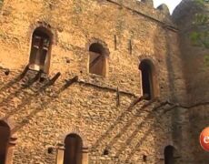 Descubre el encanto histórico de Etiopía: Visita el Castillo de Fasil Ghebbi en Gondar