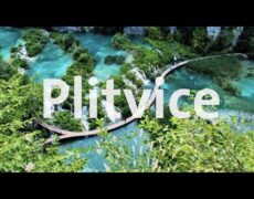 Descubre la belleza natural del Parque Nacional Abijatta-Shalla: el destino ideal para tu próximo viaje de turismo