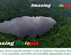 Descubre la belleza natural del Parque Nacional Chebera Churchura: El destino perfecto para tu próximo viaje de turismo