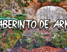 Descubre el encanto de Harar: turismo en su laberinto de calles